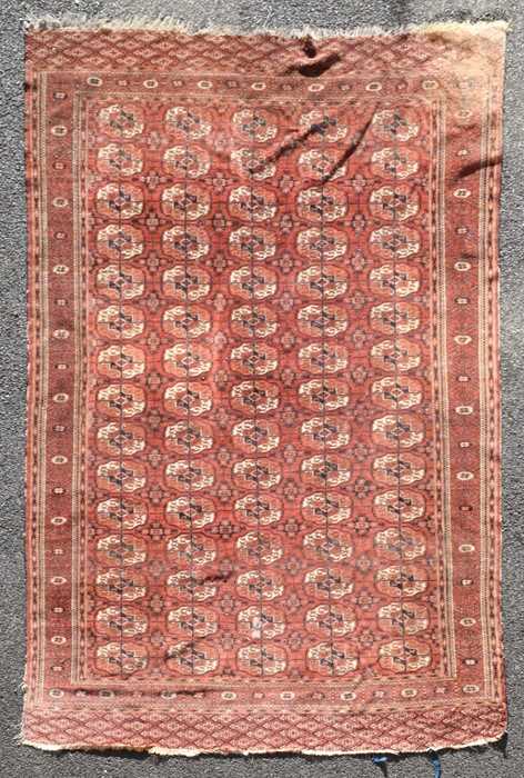 Lot 70 - A Bokara red ground carpet the central field...