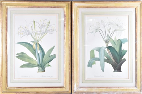 Lot 134 - A group of seven botanical prints depicting...