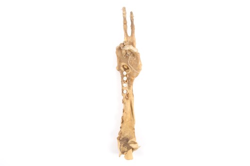 Lot 3 - Nancy Fouts (American, 1945-2019) 'Shrunken...