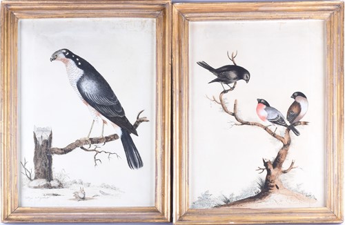 Lot 86 - William Hayes (1735 - 1802), a set of eight...