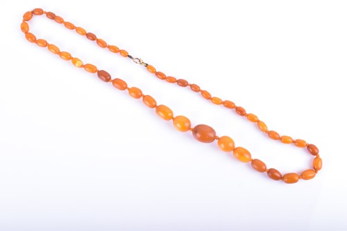 Lot 678 - A graduated butterscotch amber neckace,...