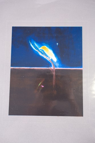 Lot 62 - Craigie Aitchison (1926 - 2009), 'Yellow bird',...