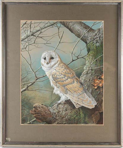 Lot 37 - Basil Ede (1931-2016), 'Barn Owl', gouache and...