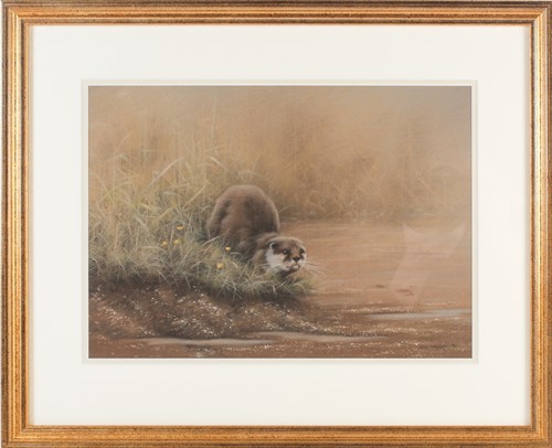 Lot 74 - John Naylor (b.1960) British, an otter on a...