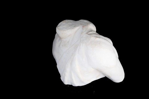 Lot 318 - A Grand Tour style carved white marble part...