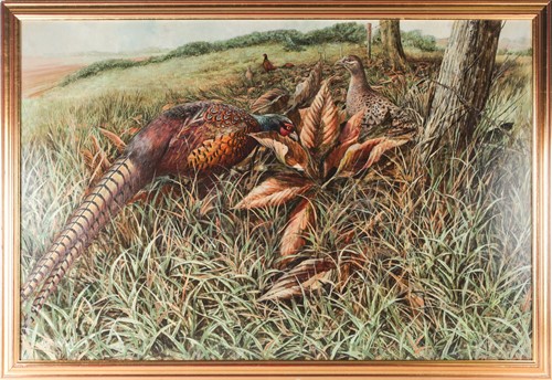 Lot 57 - Ken Turner (born 1926), a study of pheasants...