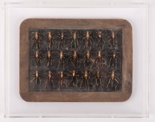 Lot 170 - Nancy Fouts (American, 1945-2019), an abstract...