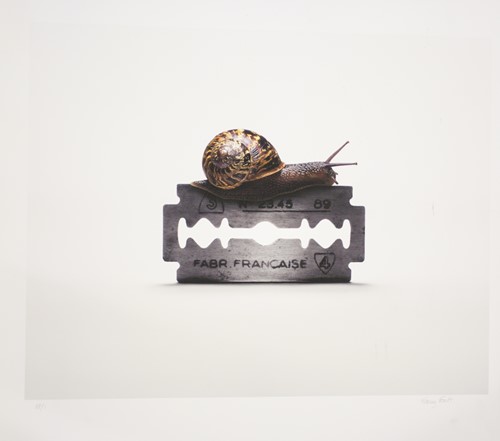 Lot 139 - Nancy Fouts (American, 1945-2019) 'Snail on...