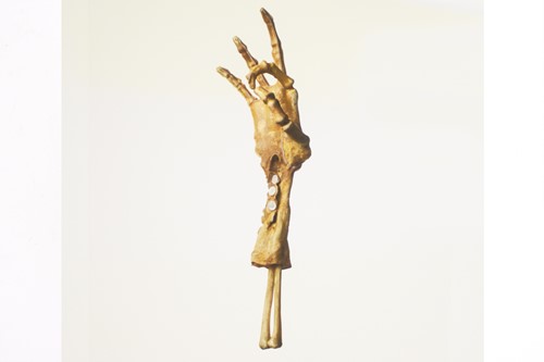 Lot 49 - Nancy Fouts (American, 1945-2019) 'Shrunken...