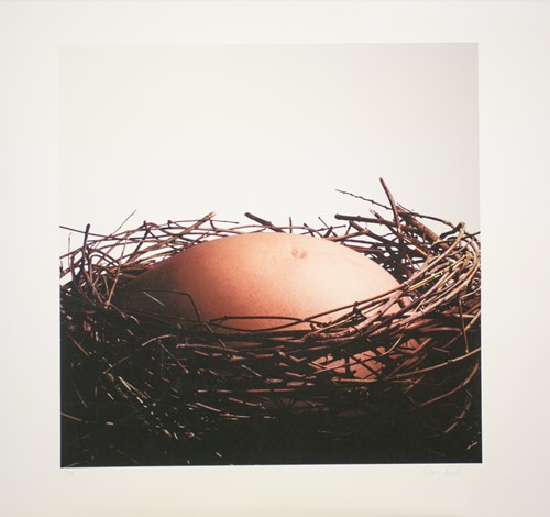 Lot 64 - Nancy Fouts (American, 1945-2019) 'Baby Nest',...
