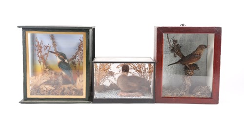Lot 190 - An early 20th century taxidermists display of...