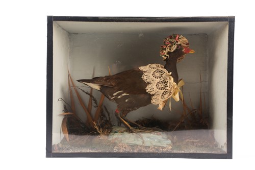 Lot 10 - An early 20th century taxidermists...