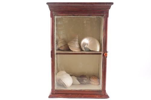 Lot 176 - Conchology; a small collection of antique...