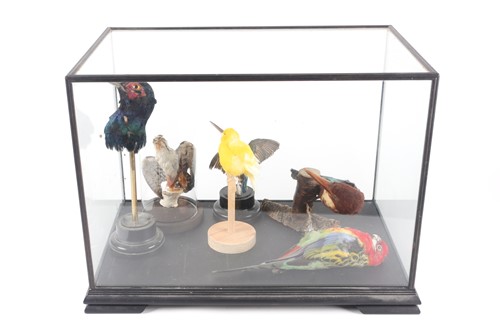 Lot 160 - A 20th century ebonised tabletop display case...