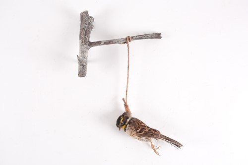 Lot 81 - Nancy Fouts (American, 1945-2019), an abstract...