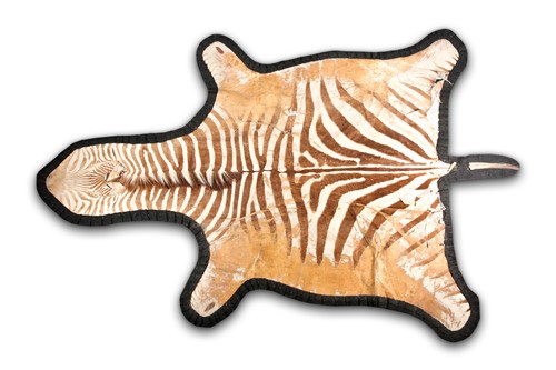 Lot 345 - An early 20th century felt backed zebra skin...