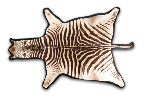 Lot 348 - A large fabric-backed Zebra skin rug with an...