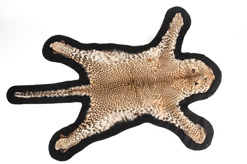 Lot 356 - A fabric-backed Leopard skin rug with an...