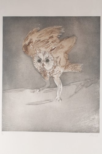 Lot 103 - Dame Elizabeth Frink (1930-1933) British,...