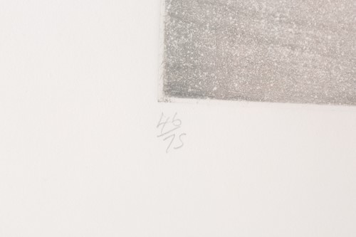 Lot 103 - Dame Elizabeth Frink (1930-1933) British,...