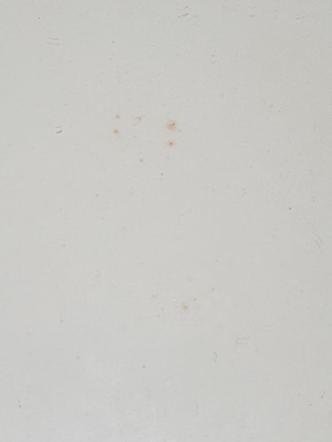 Lot 110 - Victor Pasmore RA (1908-1998), 'Points of...
