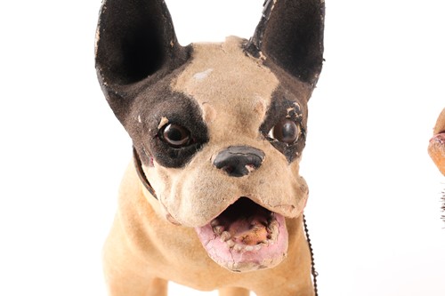 Lot 224 - A Papier-mâché French Bulldog in the manner of...