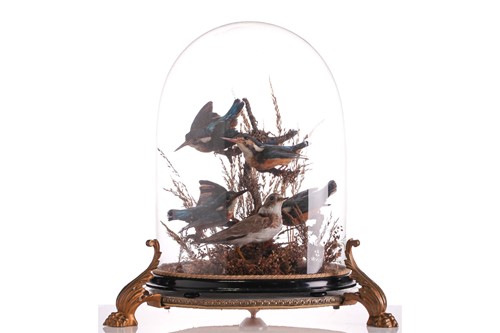 Lot 319 - A 19th-century taxidermists arrangement of...