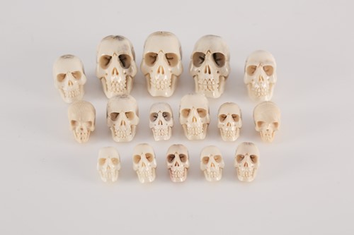 Lot 305 - A collection of sixteen native American carved...