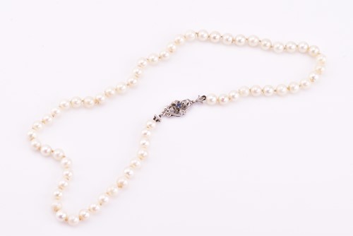 Lot 117 - Cancer Research UK Charity lot A cultured...