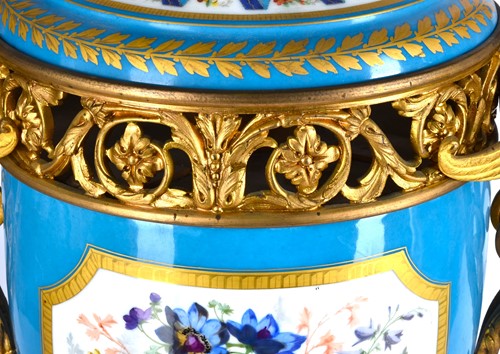 Lot 494 - A large pair of Sevres ormolu mounted pedestal...