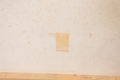 Lot 37 - Hong Viet Dung (b.1962) Vietnamese, 'Buffalo',...