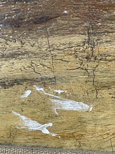 Lot 25 - Horace Van Ruith (1839-1923) British/German,...