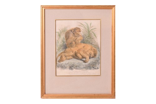 Lot 50 - A group of sixteen Georgian coloured...