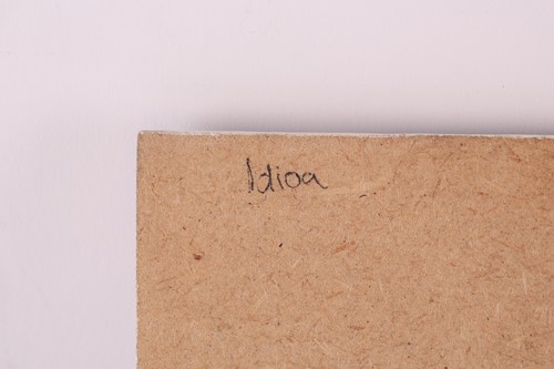 Lot 30 - James Hague (b.1970), Portrait of Idioa, oil...