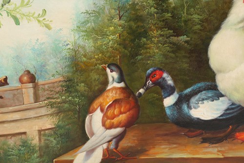 Lot 58 - 20th-century school, assorted birds in a...