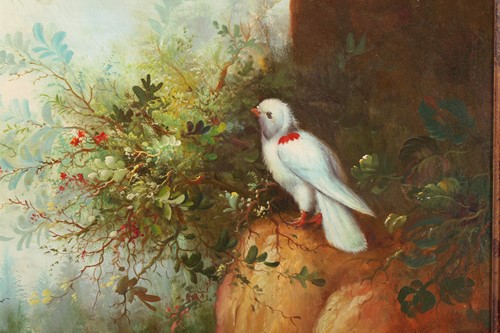 Lot 58 - 20th-century school, assorted birds in a...