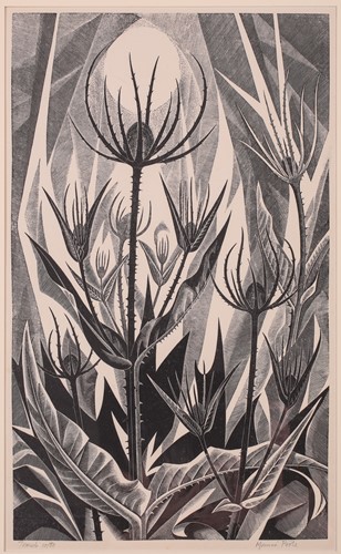 Lot 137 - Monica Poole (1921 – 2003) Teasels, original...