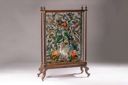 Lot 327 - A large and extensive Victorian taxidermists...
