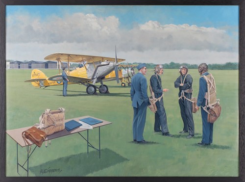 Lot 49 - Rodney Diggins (contemporary), 'Hawker Hart',...