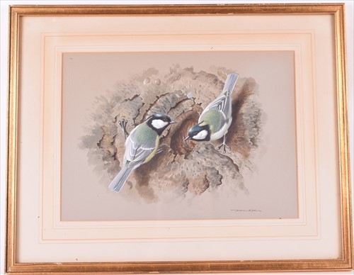 Lot 90 - Basil Ede (1931-2016) British 'Great Tits at...