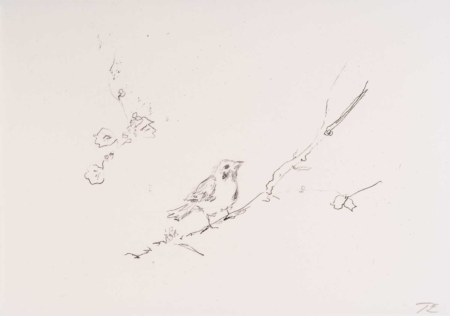 Lot 107 - Tracey Emin (b. 1963), Sam and Jay's birds,...