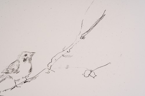 Lot 107 - Tracey Emin (b. 1963), Sam and Jay's birds,...