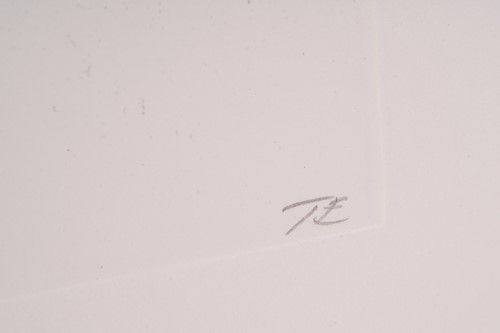 Lot 107 - Tracey Emin (b. 1963), Sam and Jay's birds,...