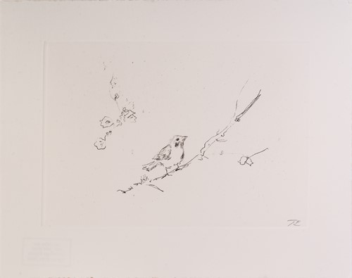 Lot 107 - Tracey Emin (b. 1963), Sam and Jay's birds,...