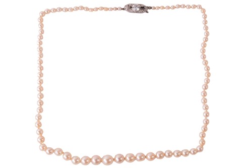 Lot 204 - A single-strand graduated cultured pearl...