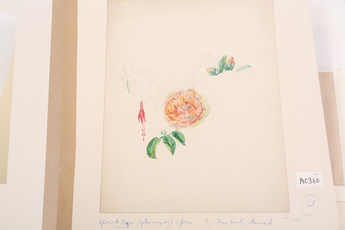 Lot 79 - 'The Stannard Folder', a large collection of...