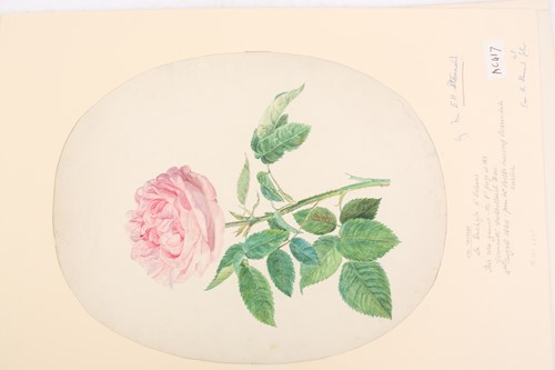 Lot 79 - 'The Stannard Folder', a large collection of...