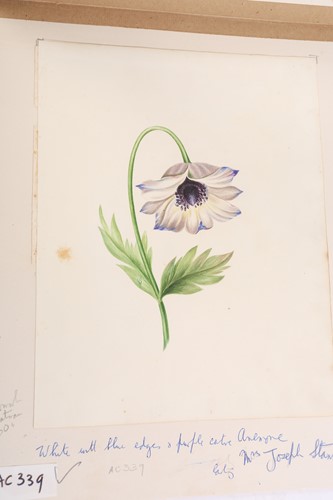Lot 79 - 'The Stannard Folder', a large collection of...