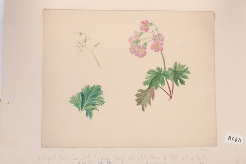 Lot 79 - 'The Stannard Folder', a large collection of...