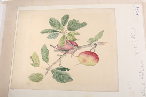 Lot 79 - 'The Stannard Folder', a large collection of...